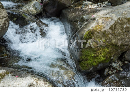 小秀山二ノ谷渓流遡行 50755789