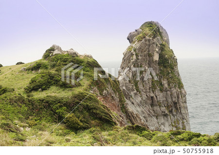 猿岩(長崎県:壱岐) 50755918