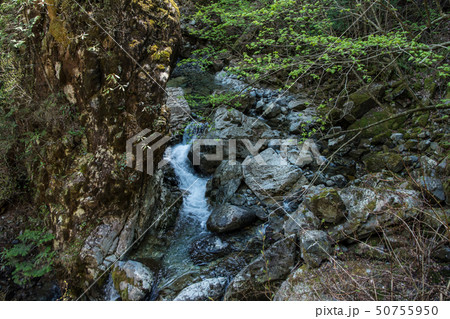 小秀山二ノ谷渓流遡行 50755950