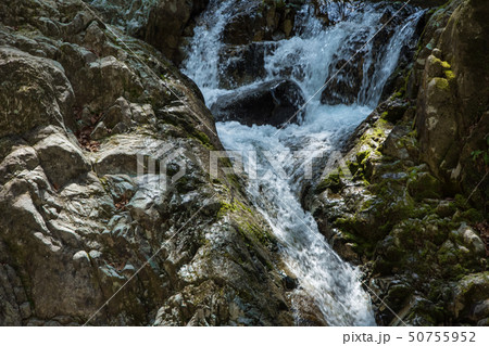 小秀山二ノ谷渓流遡行 50755952