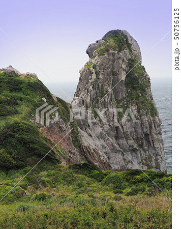 猿岩(長崎県:壱岐) 50756125