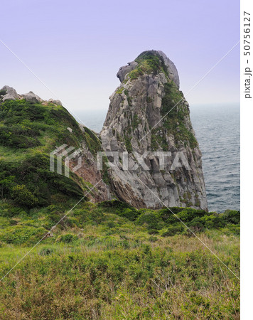 猿岩(長崎県:壱岐) 猿岩(長崎県:壱岐) 50756127