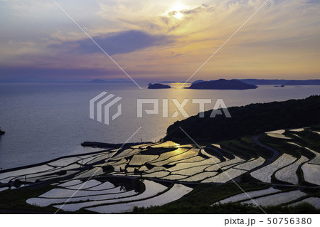 夕暮れの美しい土谷棚田  長崎県松浦市 50756380