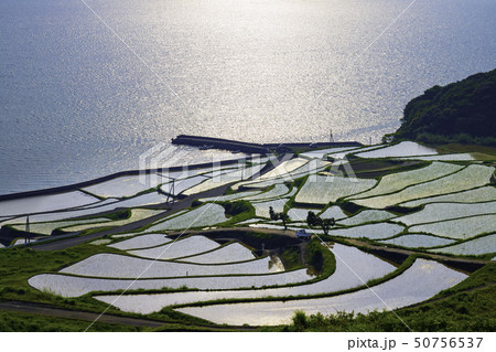 美しい土谷棚田  長崎県松浦市 50756537