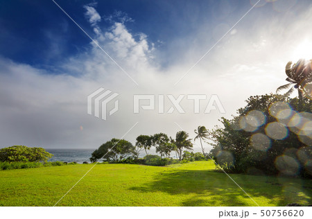 Maui Maui 50756620