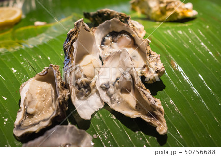 Fresh oyster with lemon. closeup Fresh oyster with lemon. closeup 50756688
