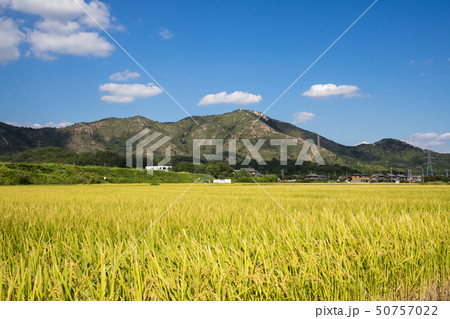 田んぼと高御位山 田んぼと高御位山 50757022