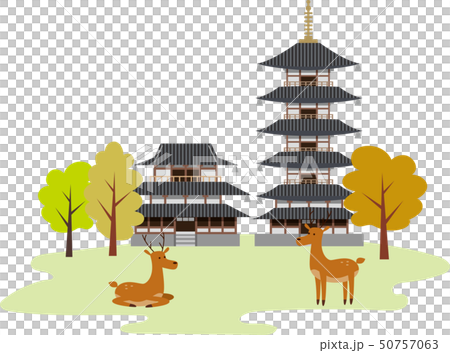 Nara Sightseeing Travel 50757063