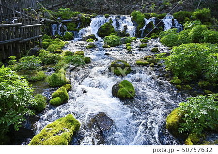 北海道 京極ふきだし公園 50757632