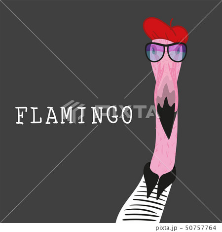 Portrait of Hipster flamingo in red barret 50757764