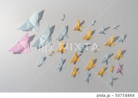 Butterfly paper on the white room wall. Butterfly paper on the white room wall. 50758868