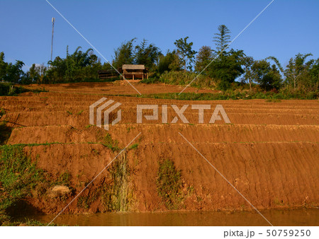 Terraced rice field in Northern Vietnam Terraced rice field in Northern Vietnam 50759250