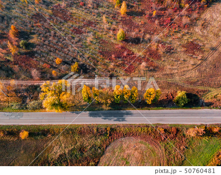 Autumn forest at dawn, aerial view. Autumn landscape. Autumn forest at dawn, aerial view. Autumn landscape. 50760481