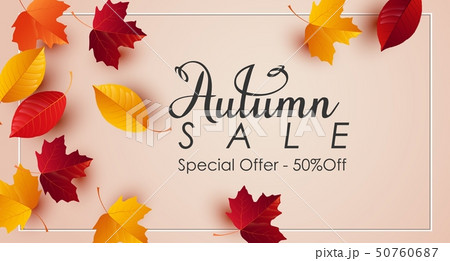 Autumn sale background with colorful leaves Autumn sale background with colorful leaves 50760687