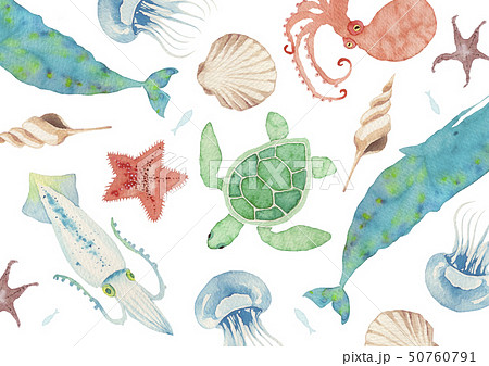夏 背景 テキスタイル 海の生物 水彩 イラストのイラスト素材