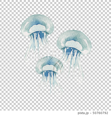 Summer Sea Jellyfish Watercolor Illustration Stock Illustration