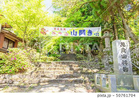 新緑の英彦山神宮参道(銅鳥居-英彦山神宮間)_福岡県田川郡添田町 新緑の英彦山神宮参道(銅鳥居-英彦山神宮間)_福岡県田川郡添田町 50761704