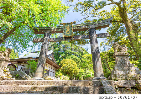 新緑の英彦山神宮参道（銅鳥居－英彦山神宮間）_福岡県田川郡添田町 50761707