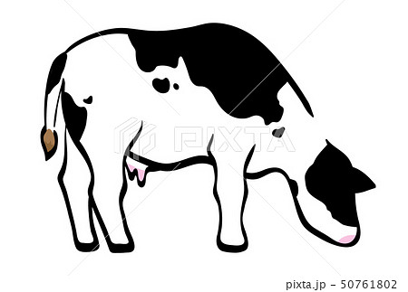 牛のイラスト素材 50761802 Pixta