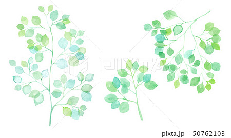 木漏れ日 枝葉のパーツセットのイラスト素材