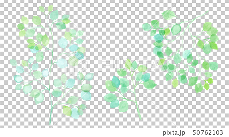 Part day set of sunbeams and leaves 50762103