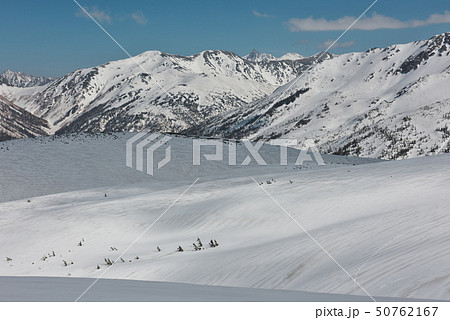 赤木平と槍ヶ岳 50762167