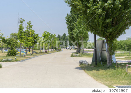 漢江市民公園 汝矣島 ヨイド 50762907