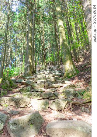 新緑の英彦山神宮参道(英彦山神宮-上宮間)_福岡県田川郡添田町 新緑の英彦山神宮参道(英彦山神宮-上宮間)_福岡県田川郡添田町 50763684
