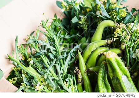 Organic green vegetables delivery concept Organic green vegetables delivery concept 50764945