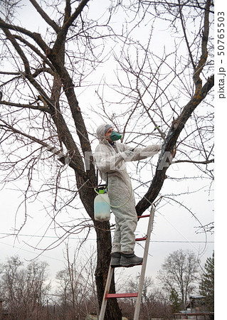 gardener trees covers pesticides 50765503