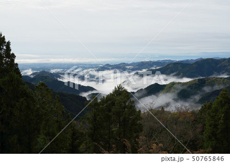 奥多摩　御嶽山の雲海 50765846