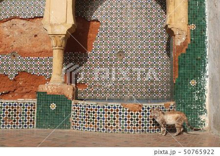 モロッコ・ラバト Morocco/Rabat モロッコ・ラバト Morocco/Rabat 50765922