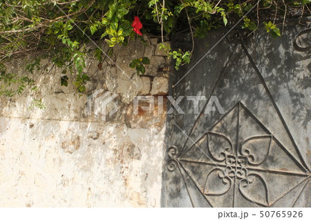 モロッコ・ラバト Morocco/Rabat モロッコ・ラバト Morocco/Rabat 50765926