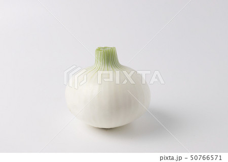 白たまねぎ 50766571