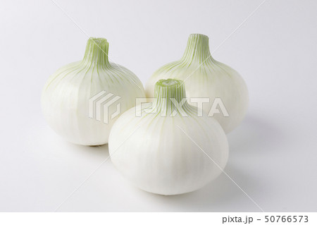 白たまねぎ 白たまねぎ 50766573