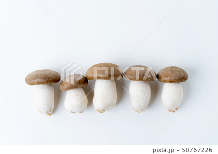 大黒本しめじ 50767226