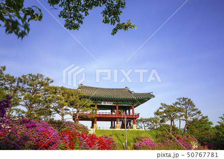 ヨウンウォルル 楼閣 サツキ 50767781