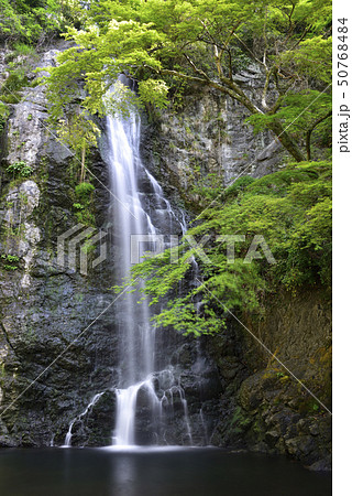 箕面大滝　新緑（大阪府箕面市） 50768484