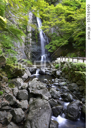 箕面大滝 新緑(大阪府箕面市) 箕面大滝 新緑(大阪府箕面市) 50768490