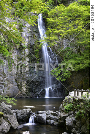 箕面大滝　新緑（大阪府箕面市） 50768494