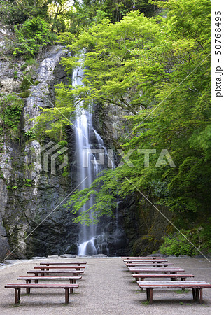 箕面大滝 新緑(大阪府箕面市) 箕面大滝 新緑(大阪府箕面市) 50768496