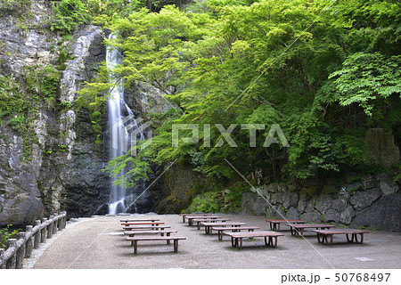 箕面大滝 新緑(大阪府箕面市) 箕面大滝 新緑(大阪府箕面市) 50768497