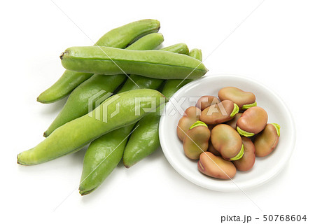 ピンクのそら豆 50768604