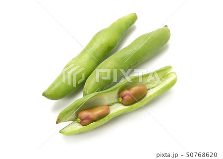 ピンクのそら豆 ピンクのそら豆 50768620