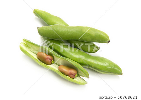 ピンクのそら豆 50768621