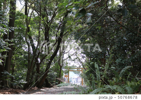 御塩殿神社の参道 50768678