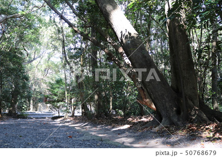 御塩殿神社の参道 50768679