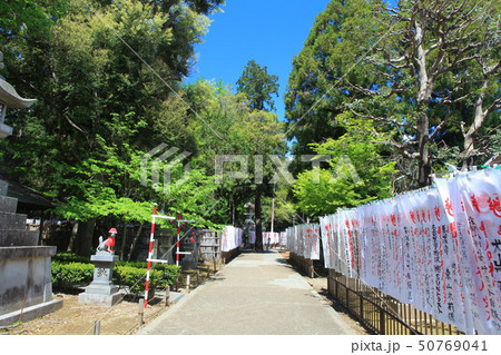【愛知県】晴天下の豊川稲荷 50769041