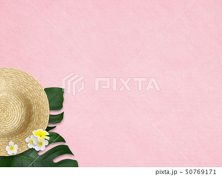 背景 海 夏 ビーチ モンステラ プルメリア 麦わら帽子 ピンクのイラスト素材