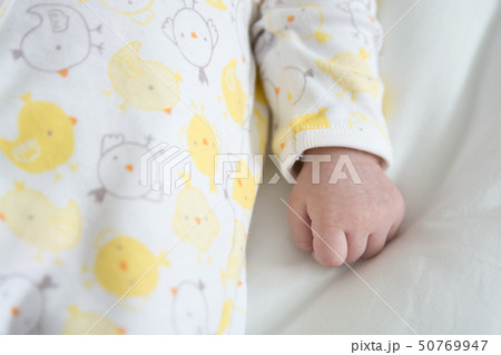 指 拳 こぶし 50769947